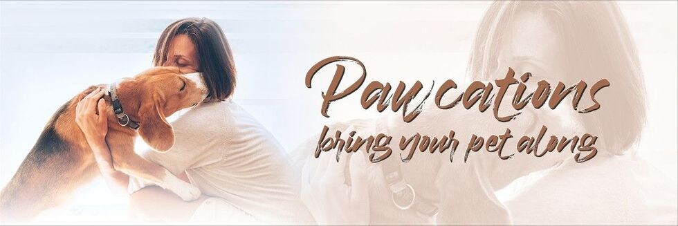 banner Image