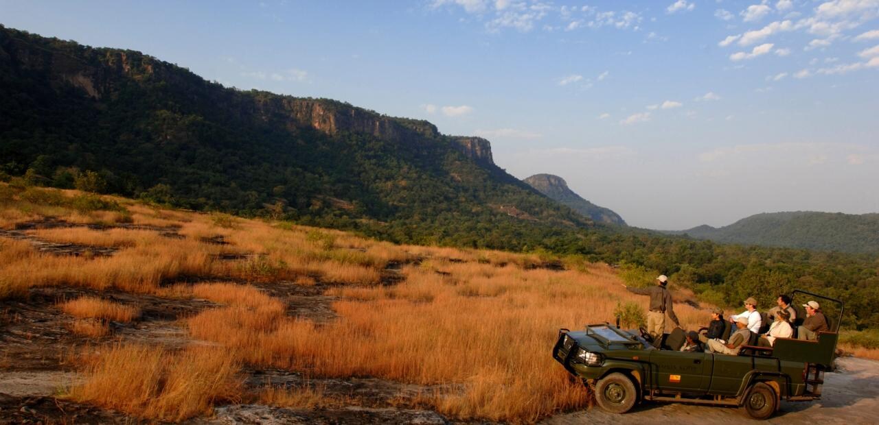 Safari of Mahua Kothi, A Taj Safari - Banner Image