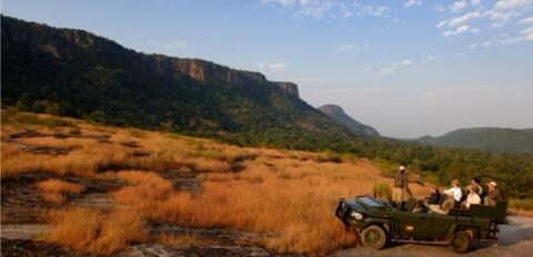 Safari of Mahua Kothi, A Taj Safari - Banner Image