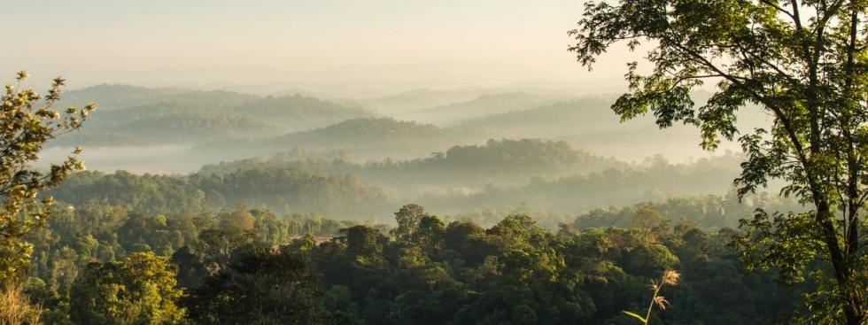 Waterfalls - Attractions In Coorg, amã Stays & Trails